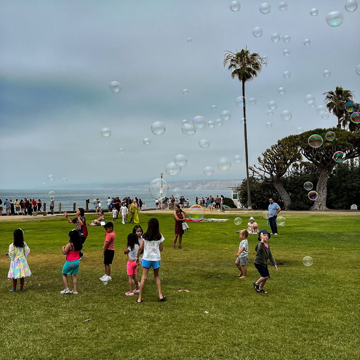 Kids playing at Scripps Parkway in La Jolla Cove, San Diego