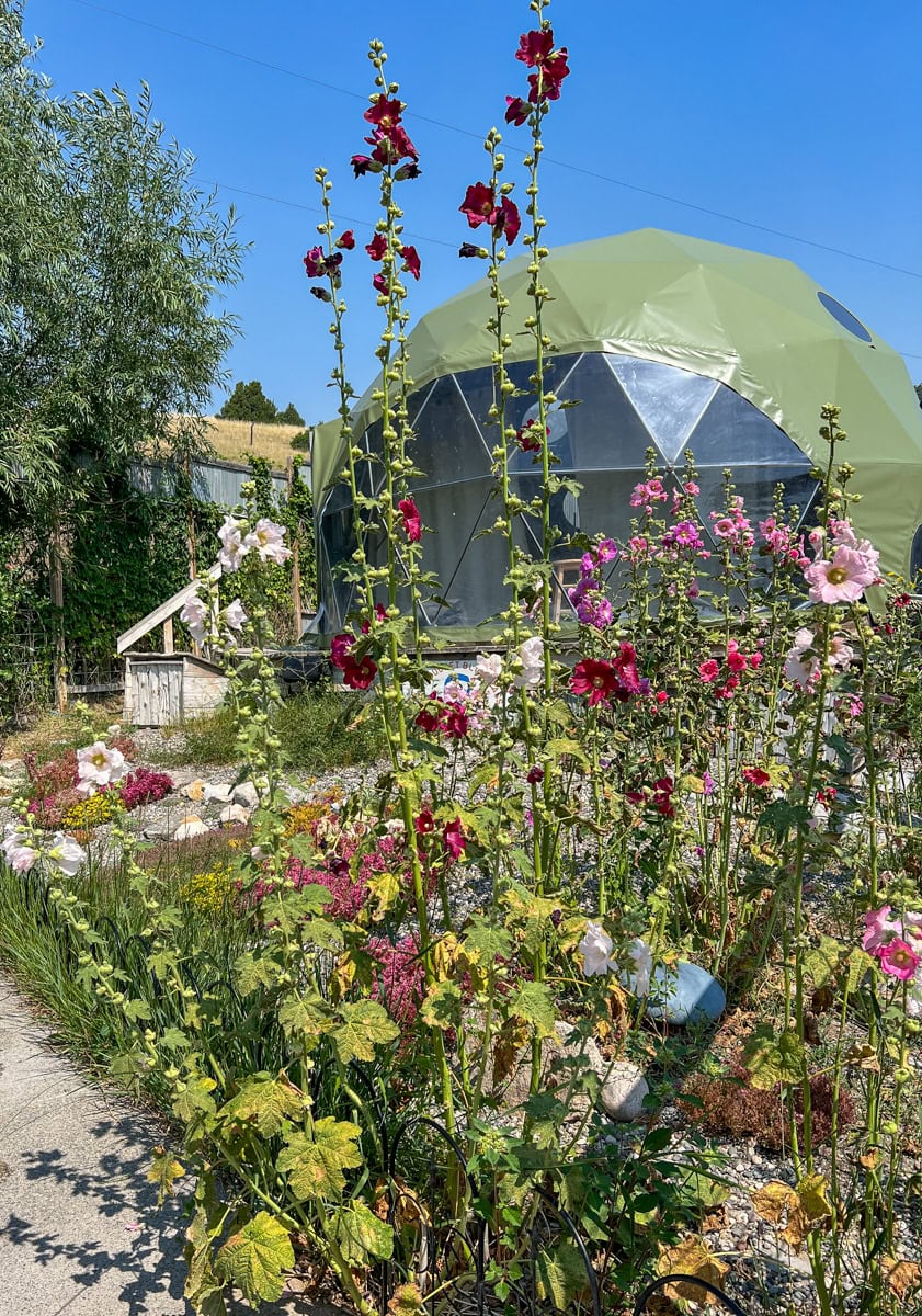 Concerts are played in this geodesic dome at Norris Hot Springs 