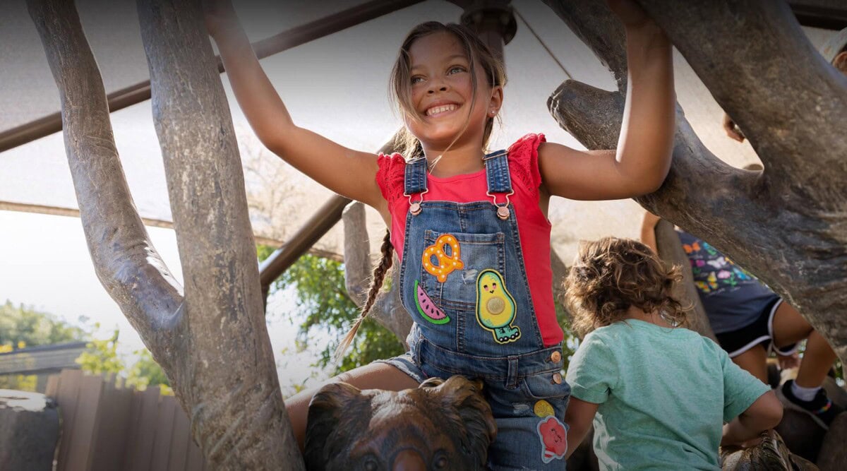 Tree of Dreams Play Area for children 