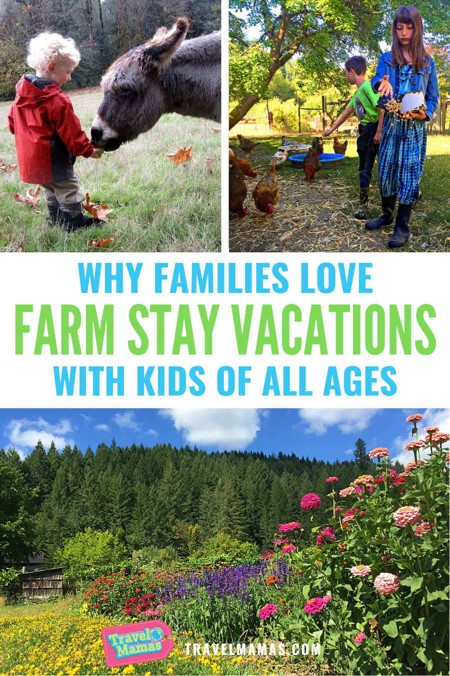 Why Families Love Farm Stay Vacations with Kids