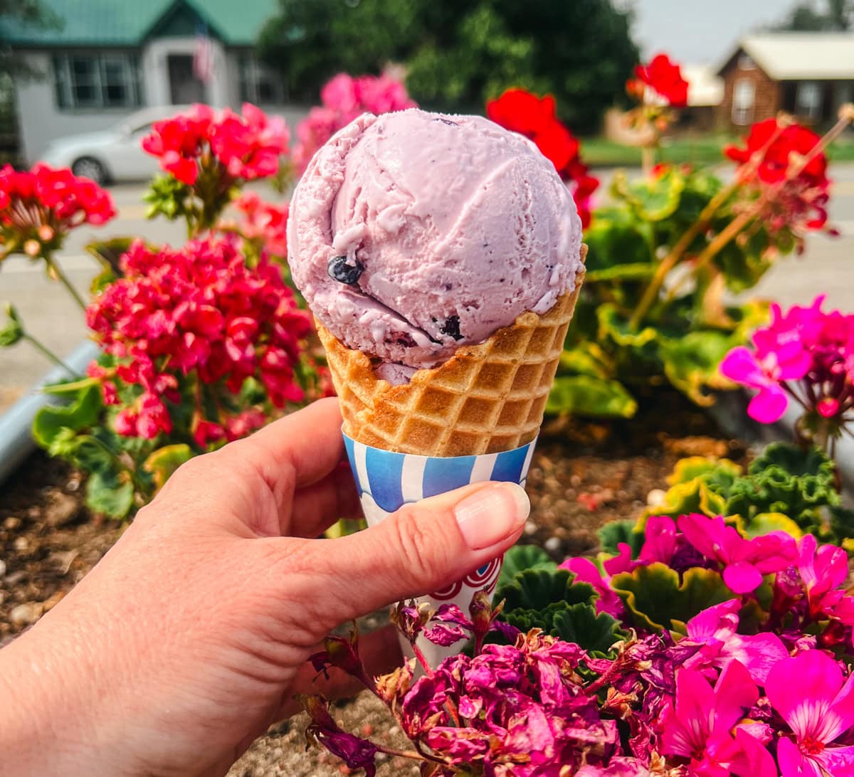 Huckleberry Ice Cream in Montana