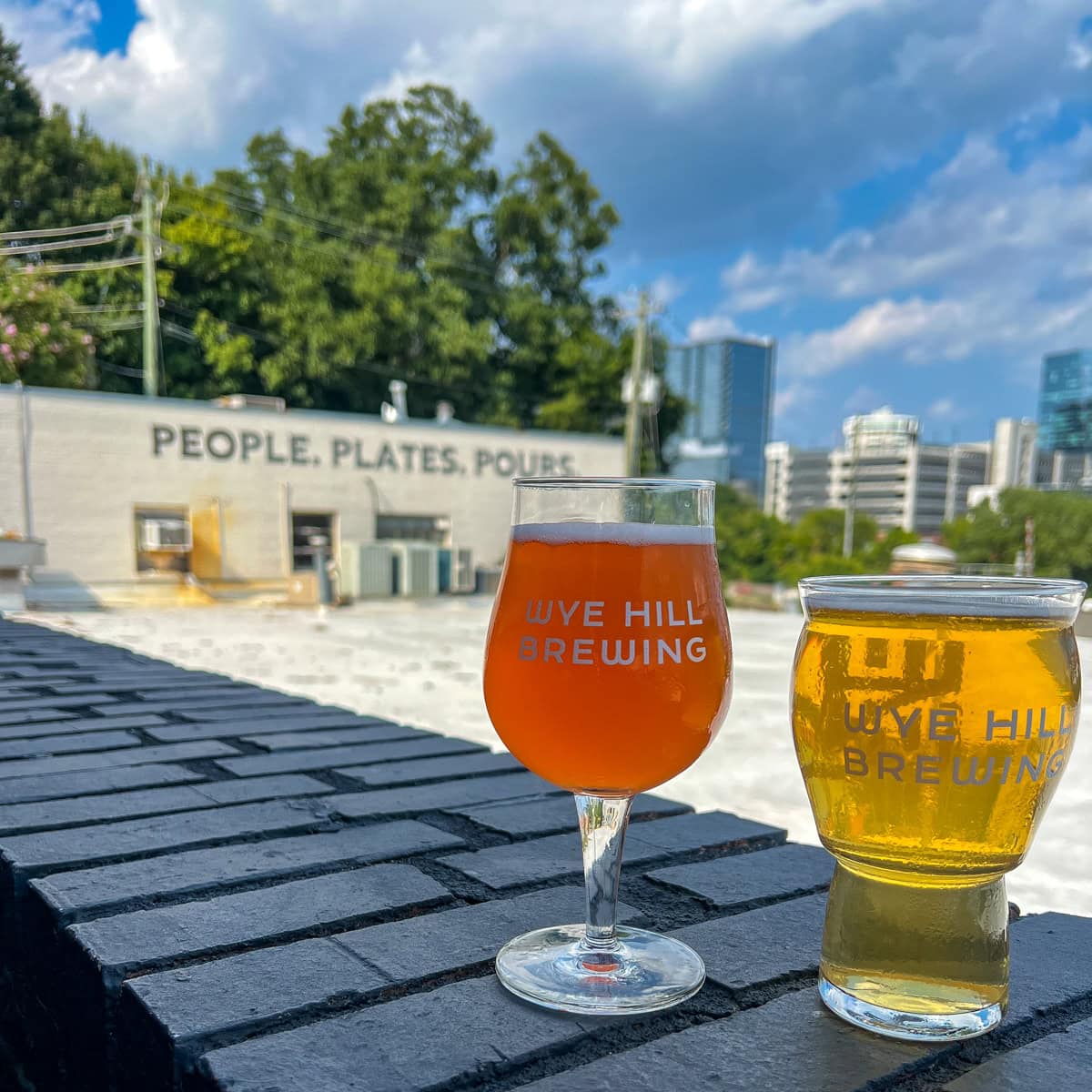 Adult drinks with a view in Raleigh, NC