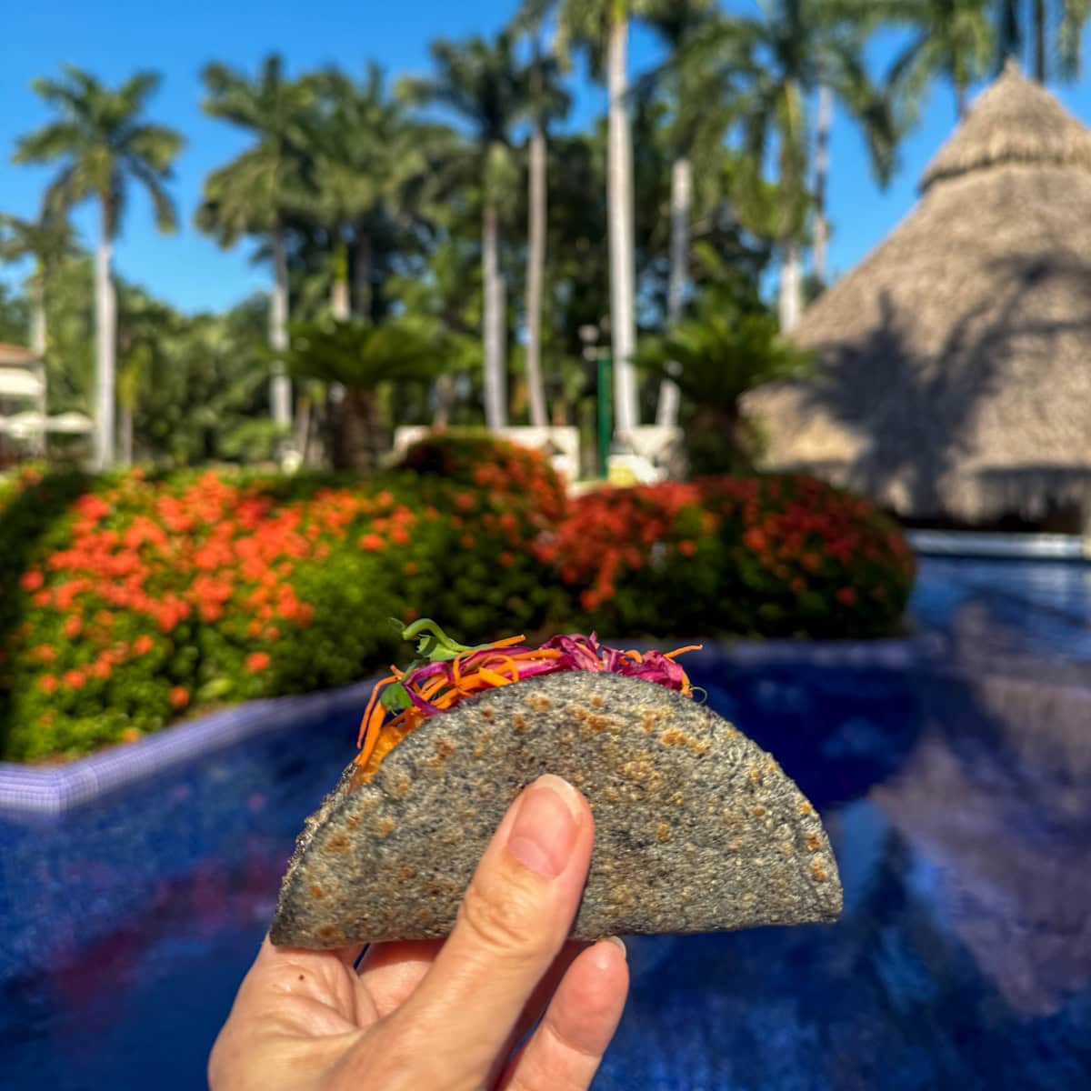 Fish taco served poolside at Casa Velas 