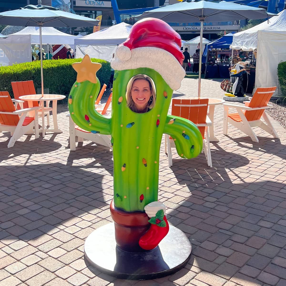 Colleen Lanin posing in a Saguaro Christmas cactus cut-out at Arizona Boardwalk 