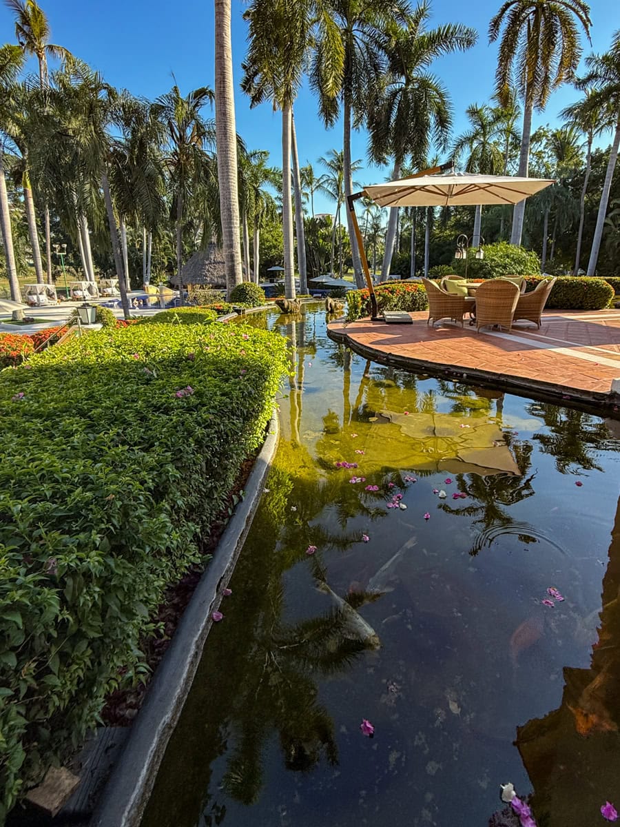 Koi pond at Casa Velas 